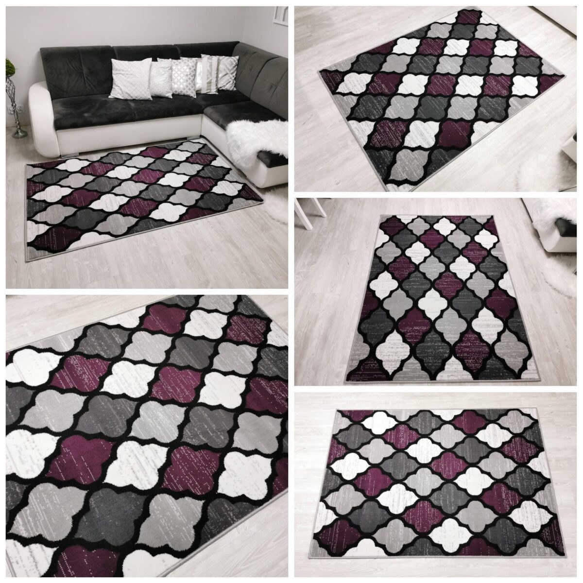 New Idea Koniczyna fioletowa