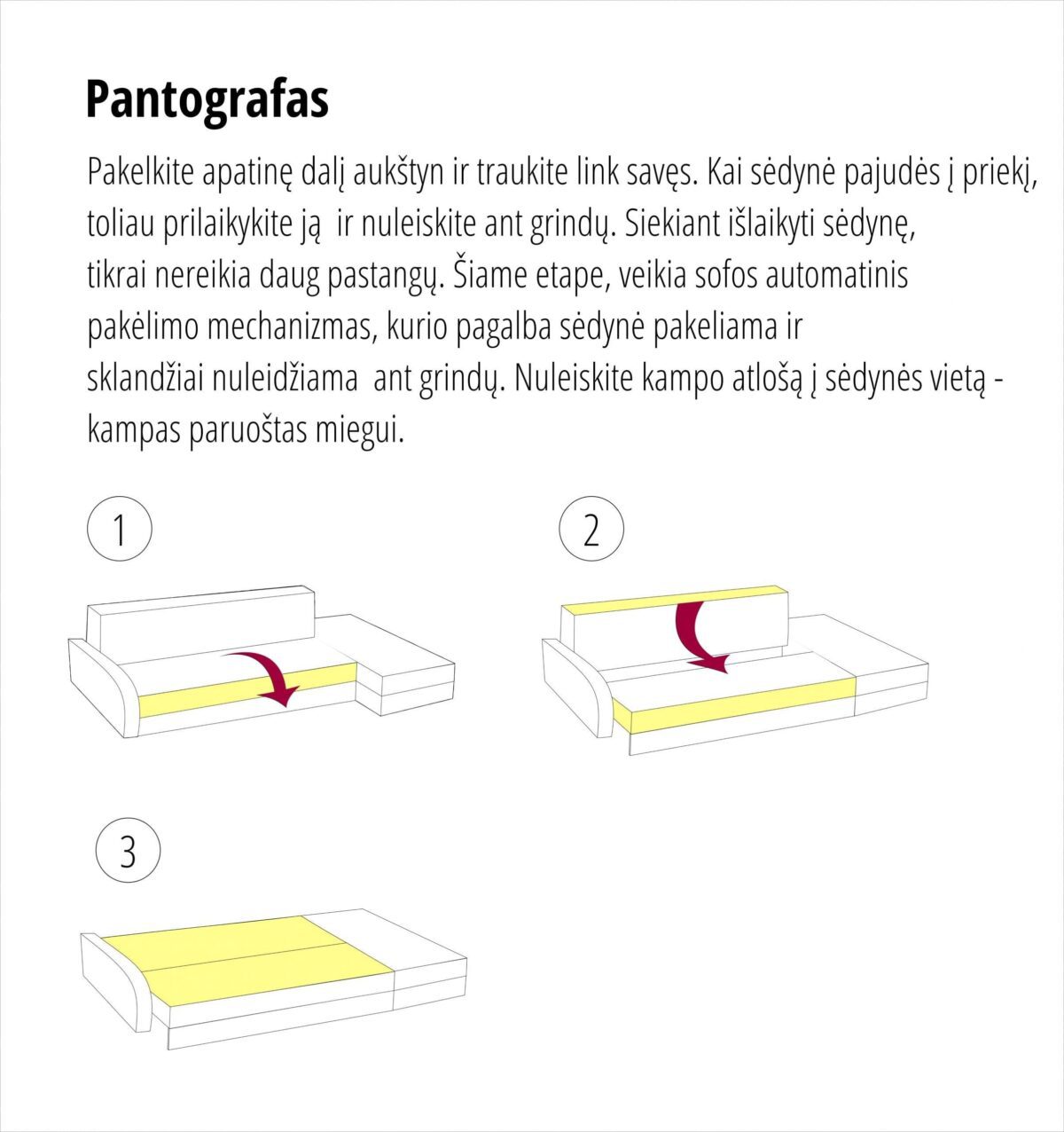 pantografas ka scaled