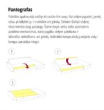 pantografas ka scaled