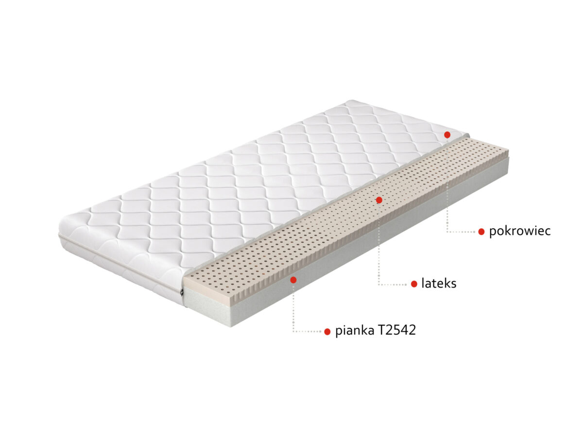 MLMos 0.8_main - Ilgis:80cm, Plotis:200cm, Aukštis:9cm - Image 2