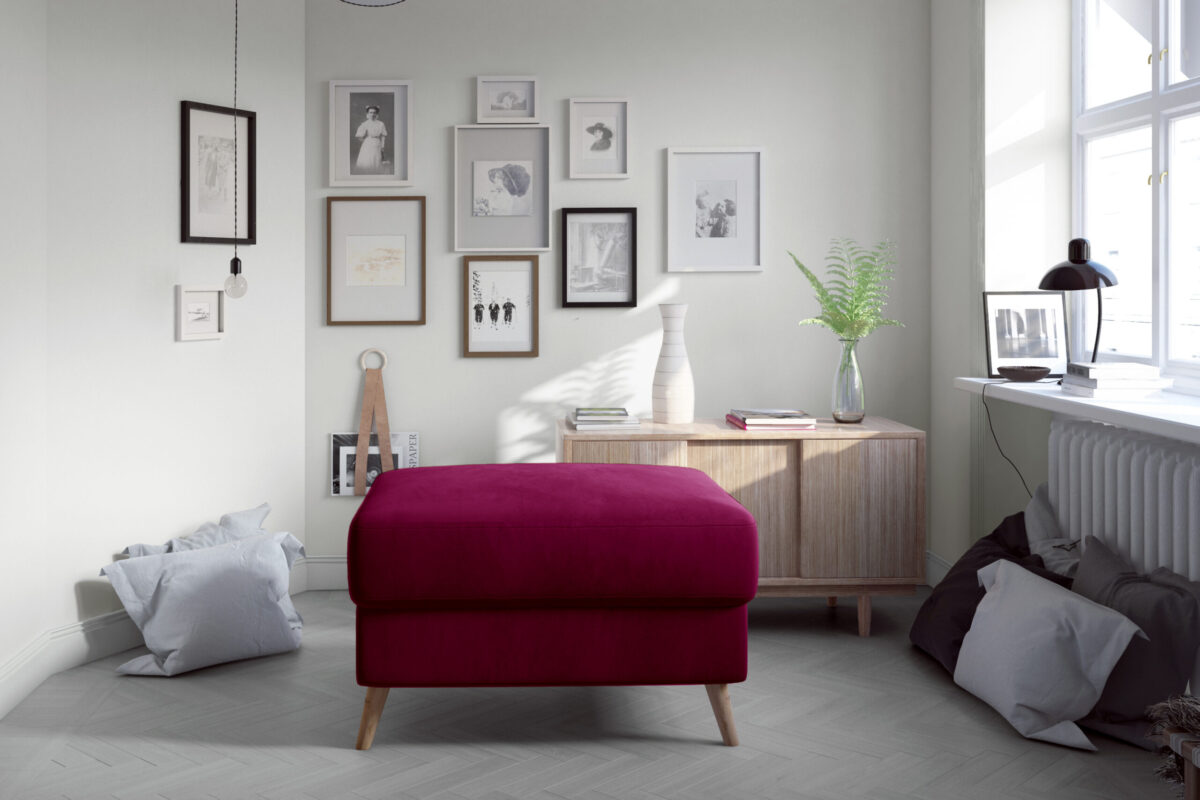 PAsg_01_main - Ilgis:73cm, Plotis:48cm, Aukštis:73cm - Image 2