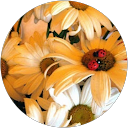 ramunė G profile picture